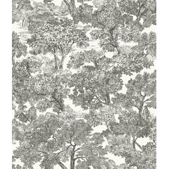 Brewster Home Fashions Wallpaper You'll Love - Wayfair Canada